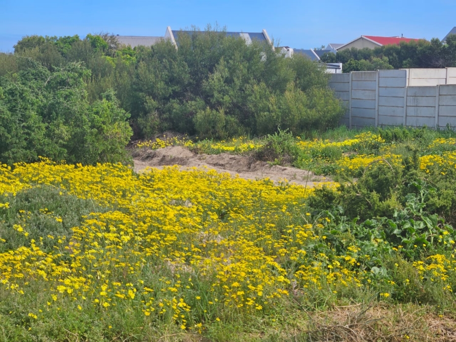 0 Bedroom Property for Sale in Britannia Bay Western Cape